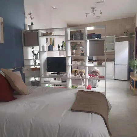 Estudio Centrico Sevilla