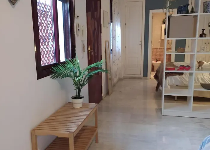 Apartment Estudio Centrico
